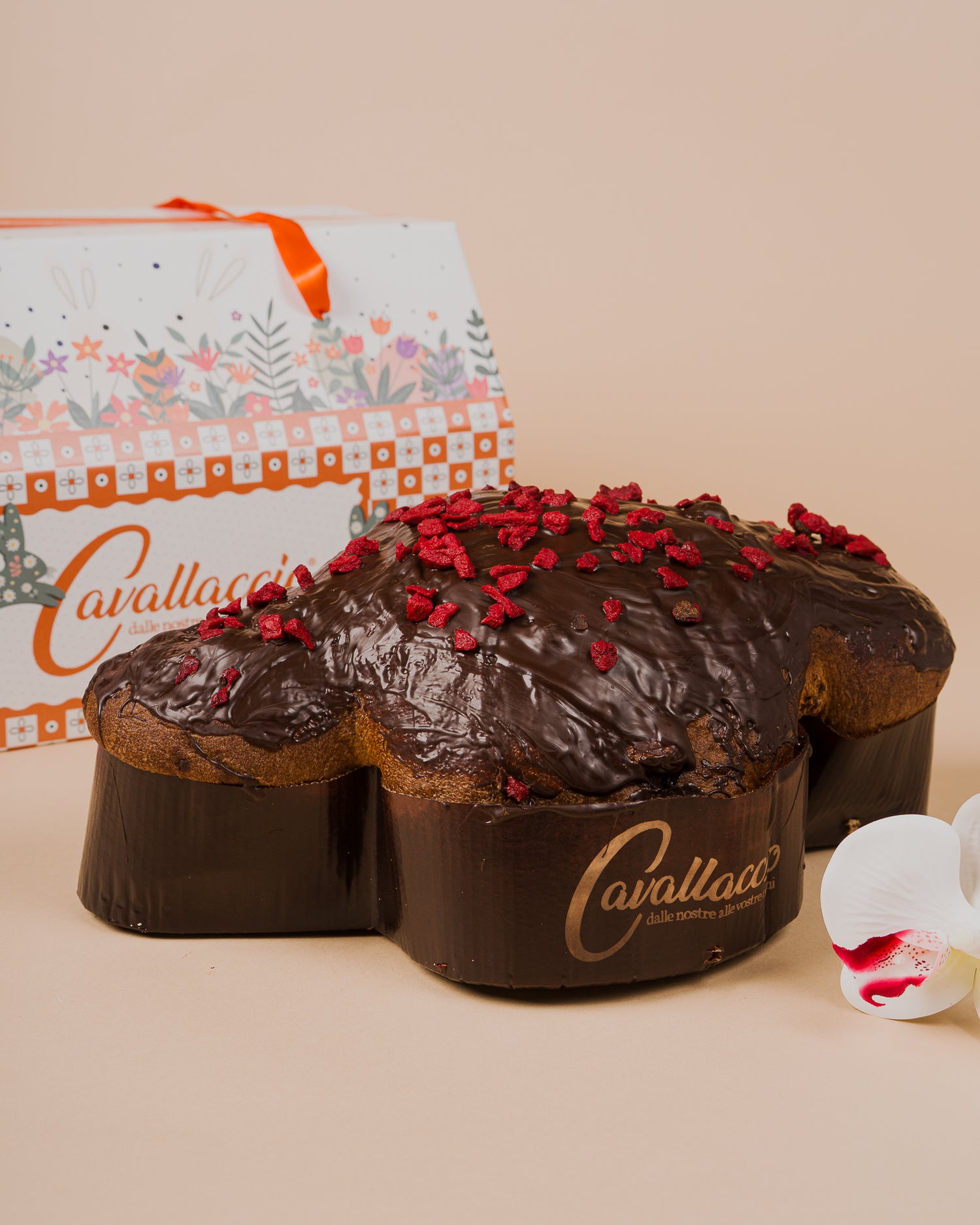 COLOMBA DARK CON LAMPONI